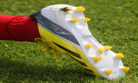 Schuhe haben bei Fussballern einen hohen St(o)ellenwert–Teil 1